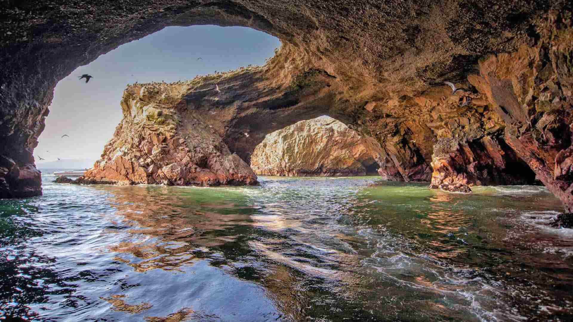 Islas Ballestas en Paracas con fauna marina en Peru